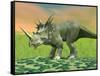 3D Rendering of a Styracosaurus Dinosaur-null-Framed Stretched Canvas