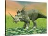 3D Rendering of a Styracosaurus Dinosaur-null-Stretched Canvas