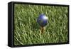 3D Rendering of an Earth Golf Ball on Tee in the Grass-null-Framed Stretched Canvas