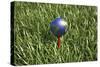 3D Rendering of an Earth Golf Ball on Tee in the Grass-null-Stretched Canvas