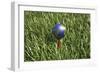 3D Rendering of an Earth Golf Ball on Tee in the Grass-null-Framed Art Print