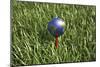 3D Rendering of an Earth Golf Ball on Tee in the Grass-null-Mounted Art Print