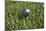 3D Rendering of an Earth Golf Ball on Tee in the Grass-null-Mounted Art Print
