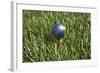 3D Rendering of an Earth Golf Ball on Tee in the Grass-null-Framed Art Print