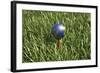 3D Rendering of an Earth Golf Ball on Tee in the Grass-null-Framed Art Print