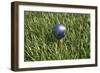 3D Rendering of an Earth Golf Ball on Tee in the Grass-null-Framed Premium Giclee Print