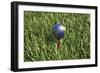 3D Rendering of an Earth Golf Ball on Tee in the Grass-null-Framed Premium Giclee Print