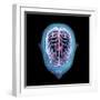 3D rendering of human head and brain with glow, top view on black background.-Hank Grebe-Framed Art Print