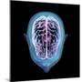 3D rendering of human head and brain with glow, top view on black background.-Hank Grebe-Mounted Art Print