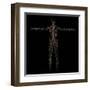 3D Rendering of Human Lymphatic System-Stocktrek Images-Framed Art Print