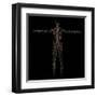 3D Rendering of Human Lymphatic System-Stocktrek Images-Framed Art Print