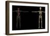 3D Rendering of Human Lymphatic System-Stocktrek Images-Framed Art Print