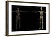 3D Rendering of Human Lymphatic System-Stocktrek Images-Framed Art Print