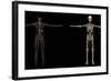 3D Rendering of Human Lymphatic System-Stocktrek Images-Framed Art Print