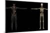 3D Rendering of Human Lymphatic System-Stocktrek Images-Mounted Premium Giclee Print