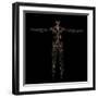 3D Rendering of Human Lymphatic System-Stocktrek Images-Framed Art Print