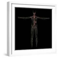 3D Rendering of Human Lymphatic System-Stocktrek Images-Framed Art Print