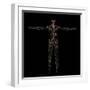 3D Rendering of Human Lymphatic System-Stocktrek Images-Framed Art Print