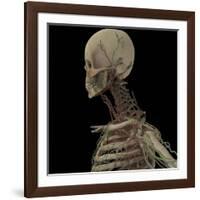 3D Rendering of Human Skull with Lymphatic System-Stocktrek Images-Framed Art Print