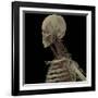 3D Rendering of Human Skull with Lymphatic System-Stocktrek Images-Framed Art Print