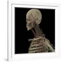 3D Rendering of Human Skull with Lymphatic System-Stocktrek Images-Framed Art Print