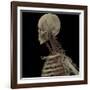 3D Rendering of Human Skull with Lymphatic System-Stocktrek Images-Framed Art Print