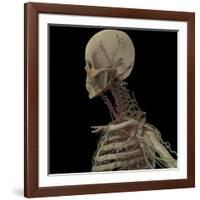 3D Rendering of Human Skull with Lymphatic System-Stocktrek Images-Framed Art Print