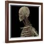 3D Rendering of Human Skull with Lymphatic System-Stocktrek Images-Framed Art Print