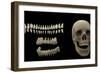 3D Rendering of Human Teeth and Skull-Stocktrek Images-Framed Premium Giclee Print