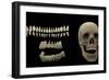 3D Rendering of Human Teeth and Skull-Stocktrek Images-Framed Premium Giclee Print