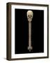 3D Rendering of Human Vertebral Column, Front View-Stocktrek Images-Framed Art Print