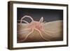 3D Rendering of Macrophage Phagocytosis-null-Framed Art Print