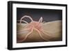 3D Rendering of Macrophage Phagocytosis-null-Framed Art Print