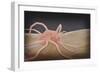 3D Rendering of Macrophage Phagocytosis-null-Framed Art Print