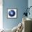 3D Rendering of Planet Earth, Centered On the South Pole-Stocktrek Images-Framed Photographic Print displayed on a wall