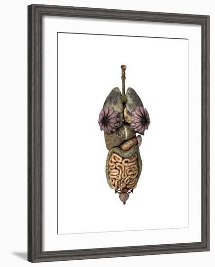 3D Rendering of Unhealthy Female Internal Organs-null-Framed Art Print