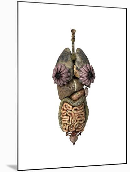 3D Rendering of Unhealthy Female Internal Organs-null-Mounted Art Print