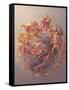 3D Structure of Melanoma Cell-Stocktrek Images-Framed Stretched Canvas