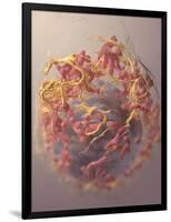 3D Structure of Melanoma Cell-Stocktrek Images-Framed Art Print