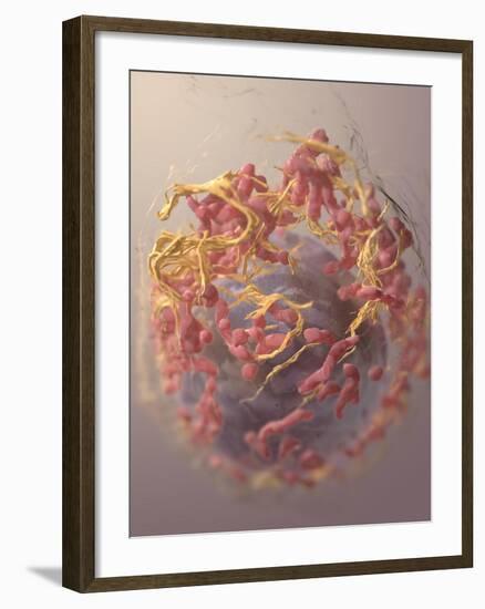 3D Structure of Melanoma Cell-Stocktrek Images-Framed Art Print