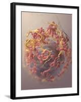 3D Structure of Melanoma Cell-Stocktrek Images-Framed Art Print