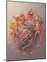 3D Structure of Melanoma Cell-Stocktrek Images-Mounted Art Print