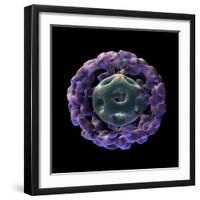 3D Structure of Pyruvate Dehydrogenase Complex-Stocktrek Images-Framed Art Print