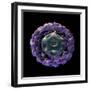 3D Structure of Pyruvate Dehydrogenase Complex-Stocktrek Images-Framed Art Print