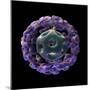 3D Structure of Pyruvate Dehydrogenase Complex-Stocktrek Images-Mounted Art Print