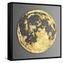 3D Wall Art Picture Modern Moon Gold-deckorator-Framed Stretched Canvas