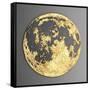 3D Wall Art Picture Modern Moon Gold-deckorator-Framed Stretched Canvas