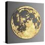 3D Wall Art Picture Modern Moon Gold-deckorator-Stretched Canvas