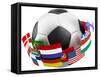 3D World Soccer Ball-bioraven-Framed Stretched Canvas