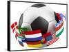 3D World Soccer Ball-bioraven-Framed Stretched Canvas